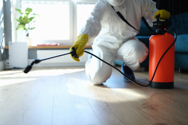 Reliable Odor Removal contractor in Decatur, TX by Trauma Clean Pros